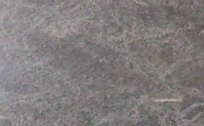 シカクラン　ブル