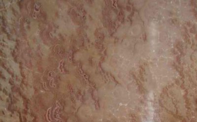 パイナップルヒスイ